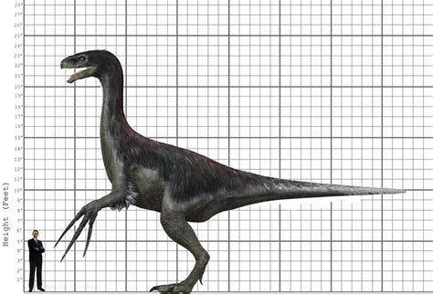 therizinosaurus size compared to human.